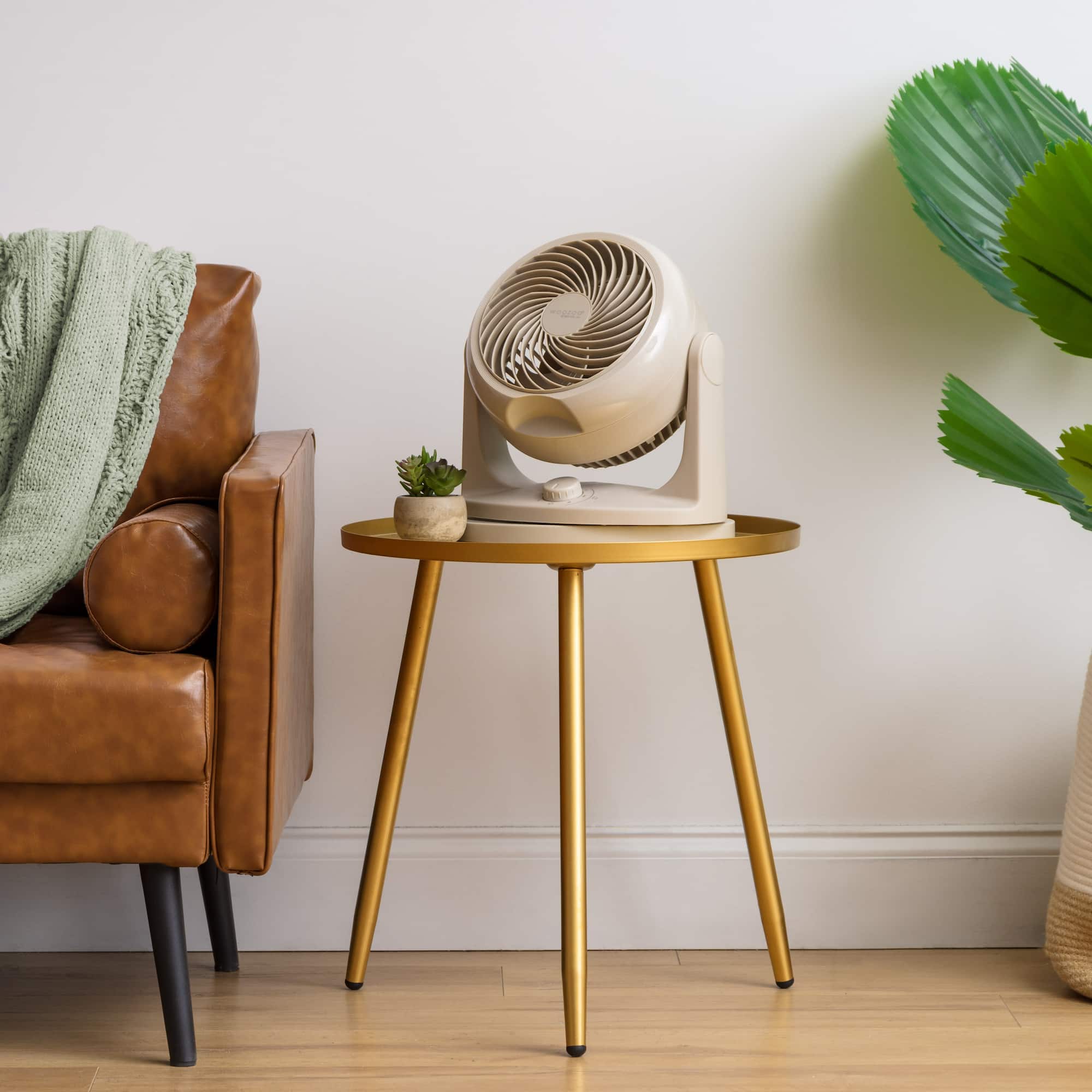 Iris® 12.25" Latte Fan